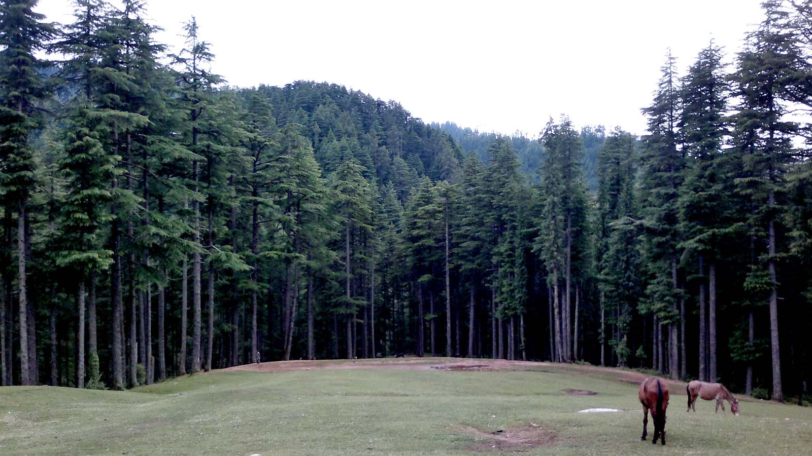 VIEW FROM DEVDARH TEMPLE AT CHACHYOT, MANDI