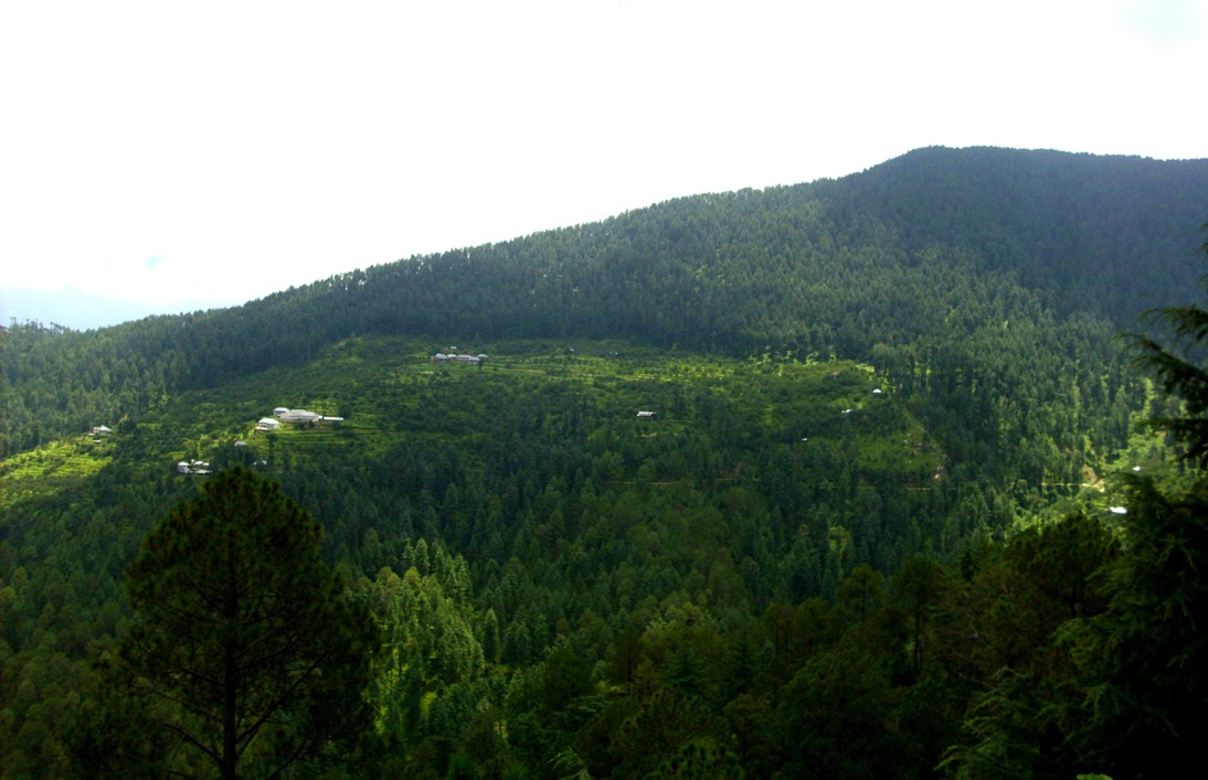 THE SCENIC GREEN VALLEY VIEW OF KARSOG AREA