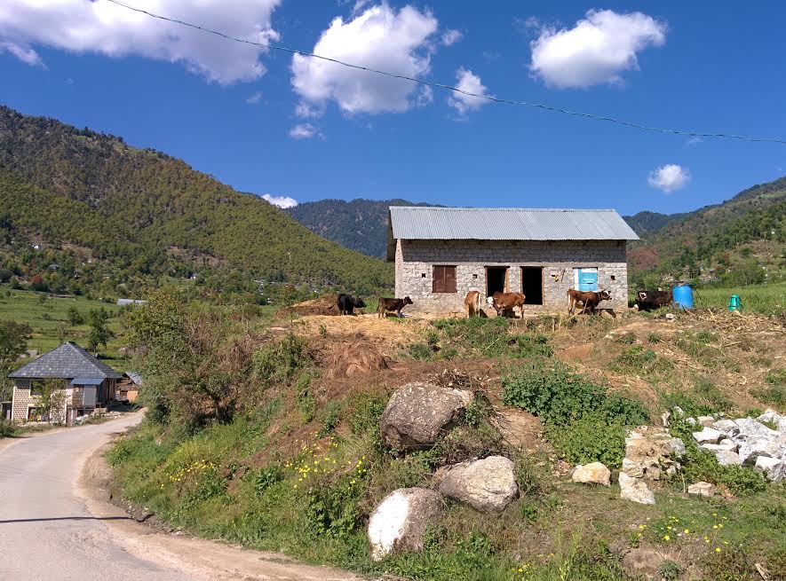 VIEW NEAR SANARALI VILLAGE, KARSOG, MANDI