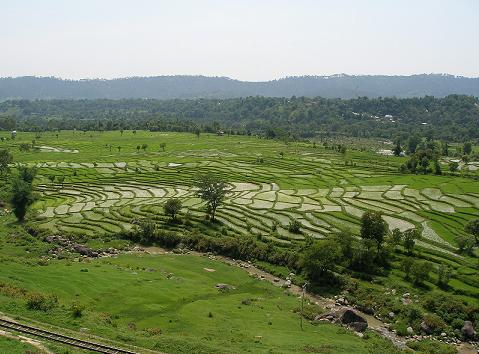 PHARER VALLEY, ALSO KNOWN AS RICE BOWL, KANGRA