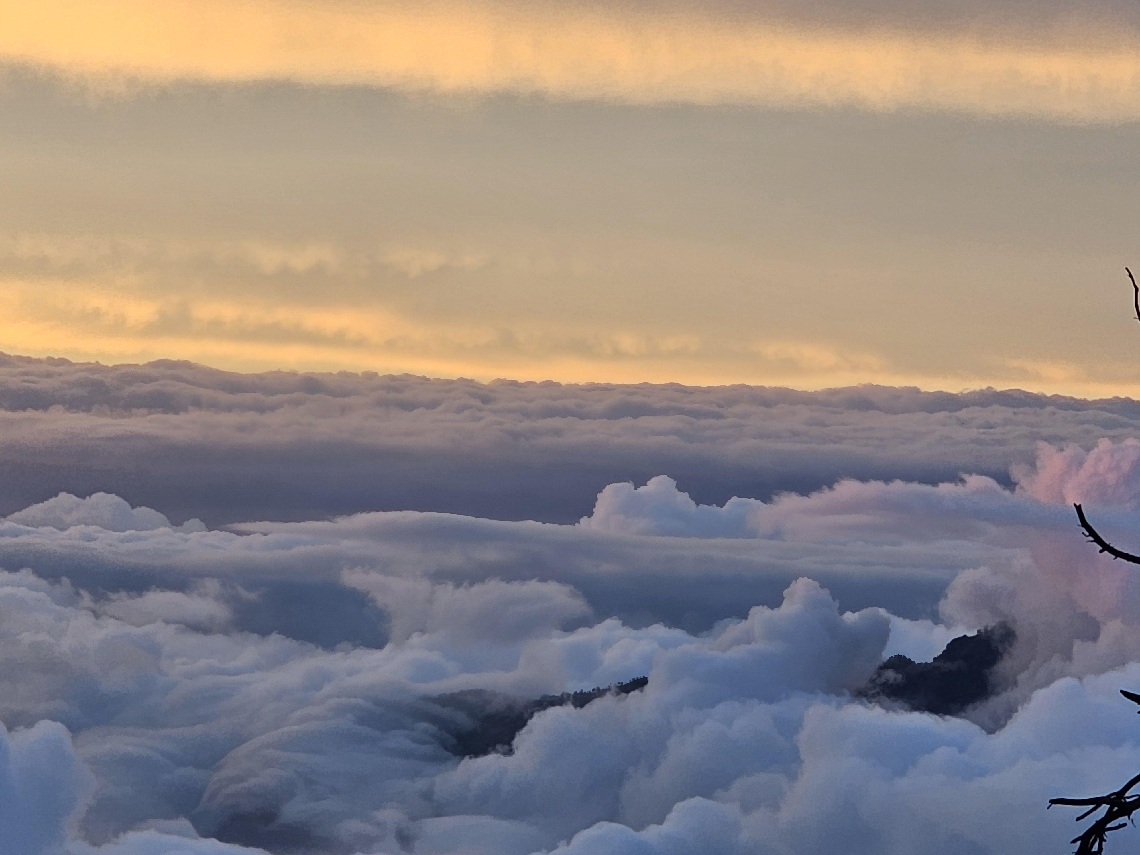  Above the Clouds, Kufri
