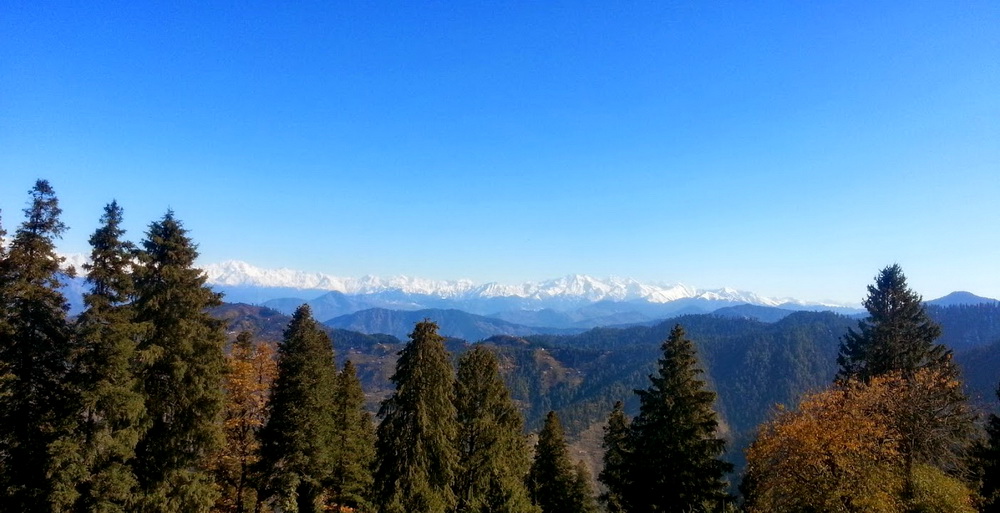VIEW FROM NARKANDA, SHIMLA