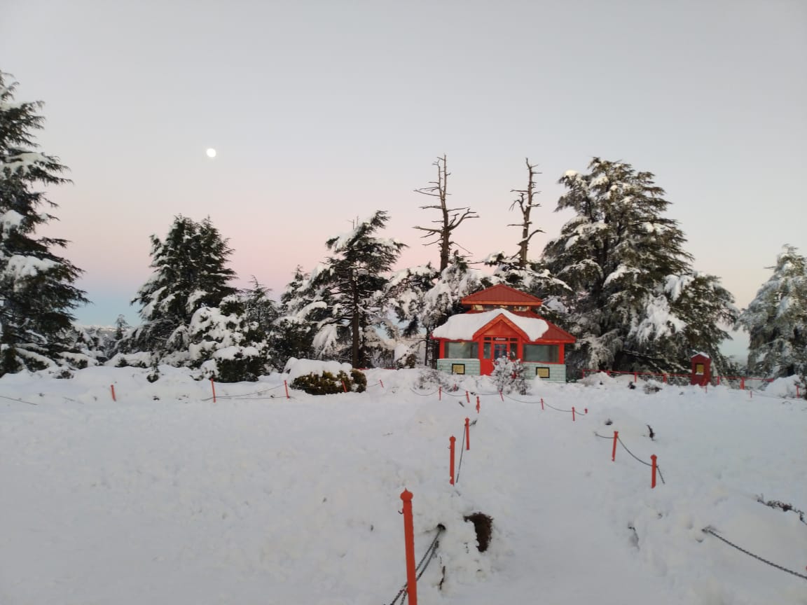 VIEW FROM OF JAKHOO TEMPLE, SHIMLA