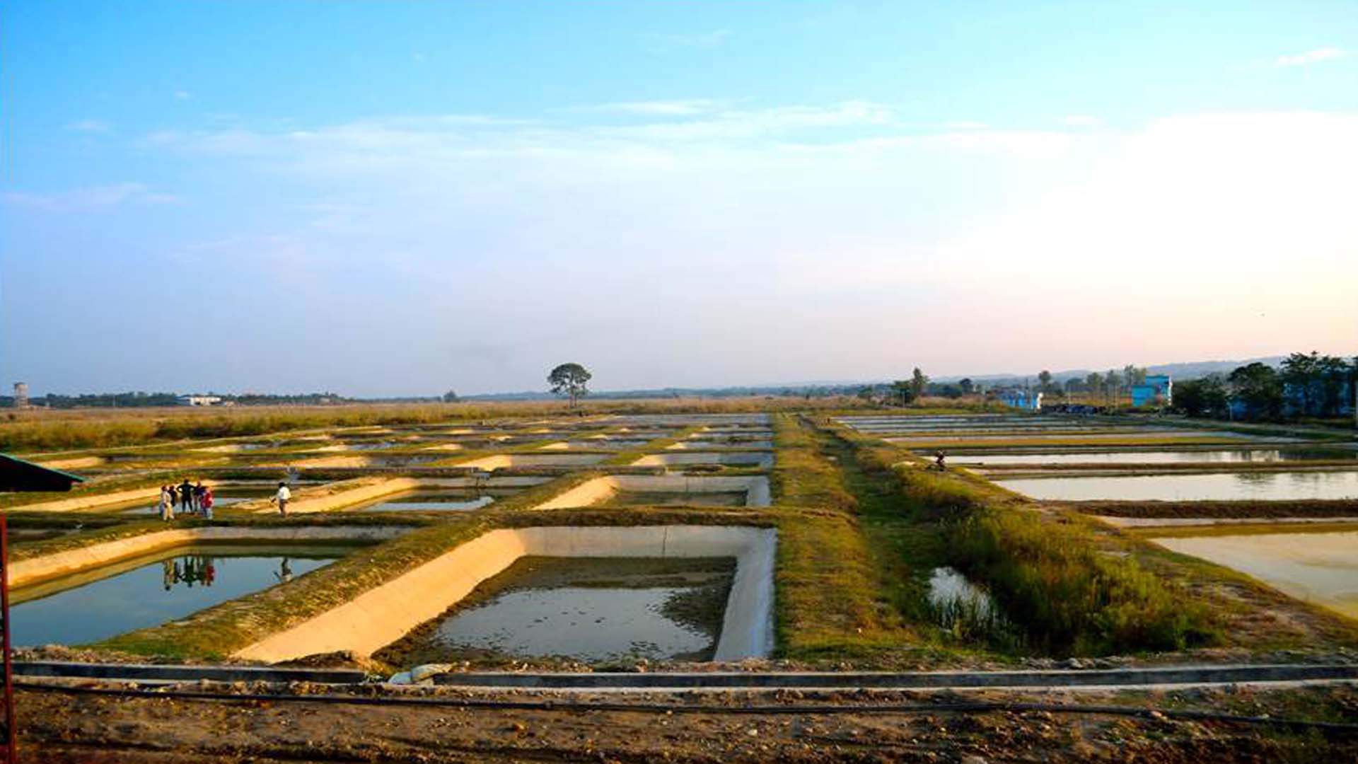 CARP FARM DEOLI, GAGRET, UNA