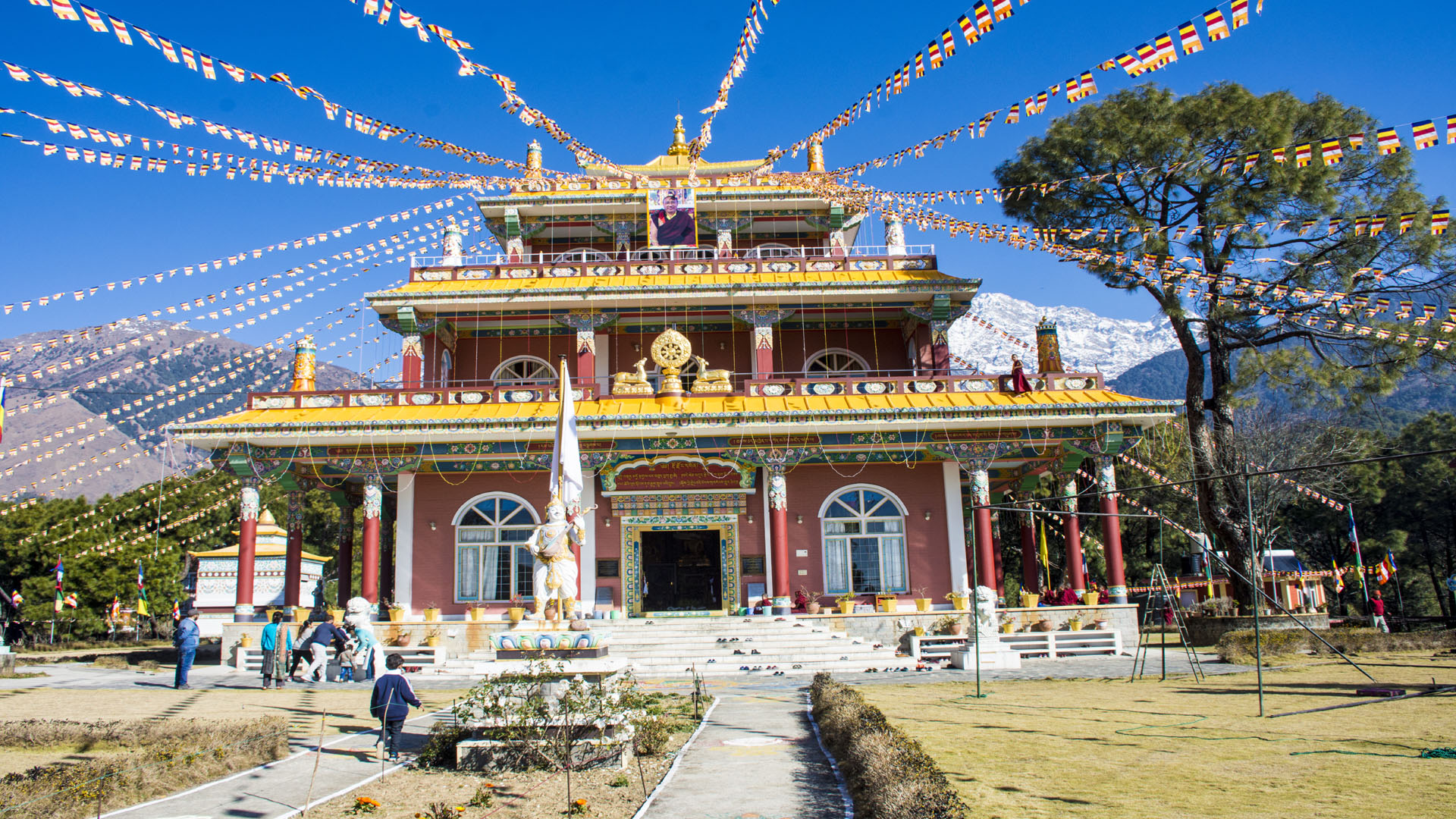 DORZONG MONASTIC INSTITUTE, GOPALPUR, PALAMPUR
