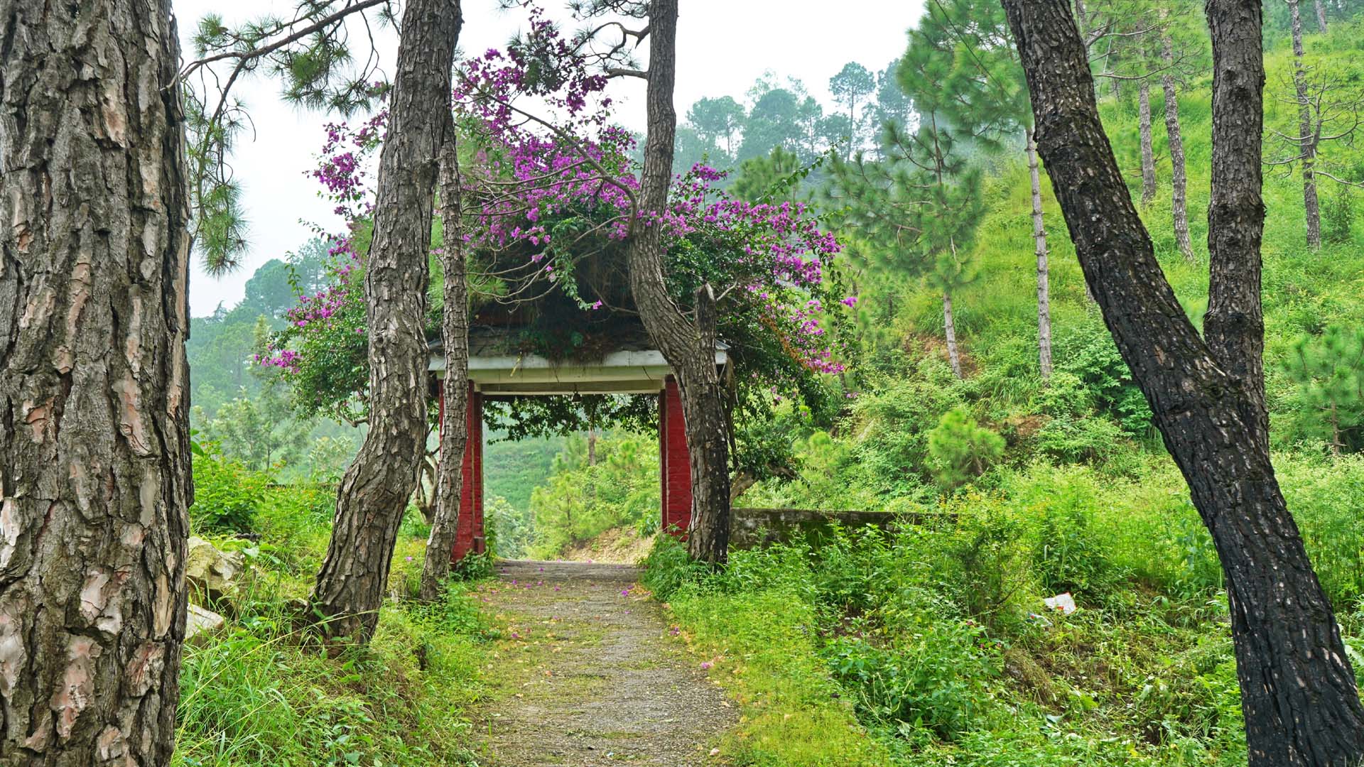 ON THE WAY TO KUNIHAR