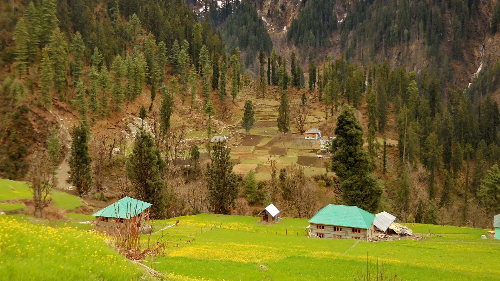VIEW OF VILLAGE GRAHAN, KULLU