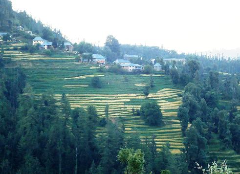 BEAUTIFUL VILLAGE ON WAY TO DEV KAMROONAG, MANDI