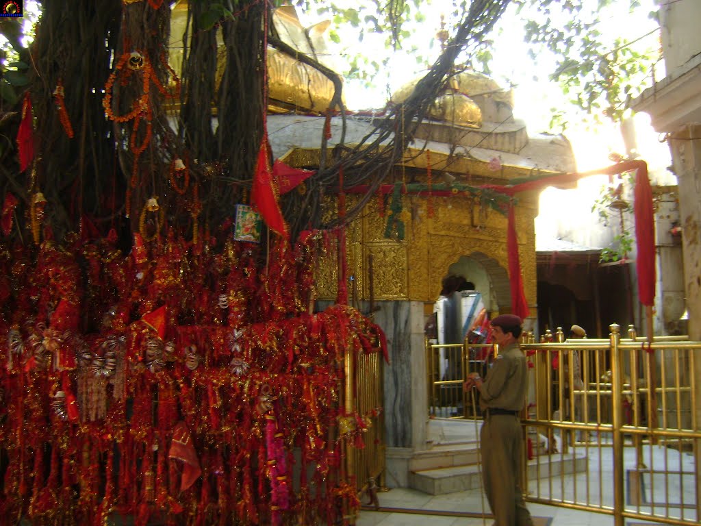 Chintpurni Mata Temple
