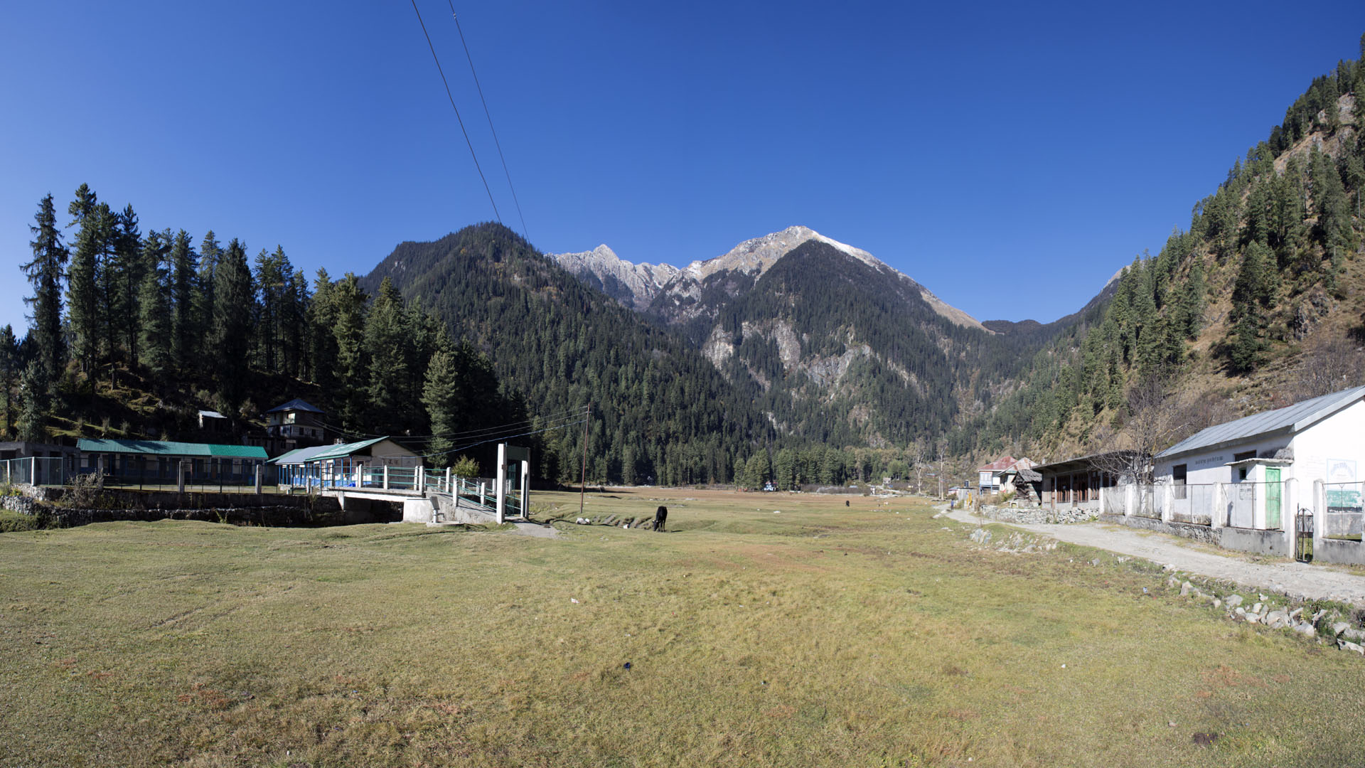 BAGHA SARAHAN, NEAR RAMPUR