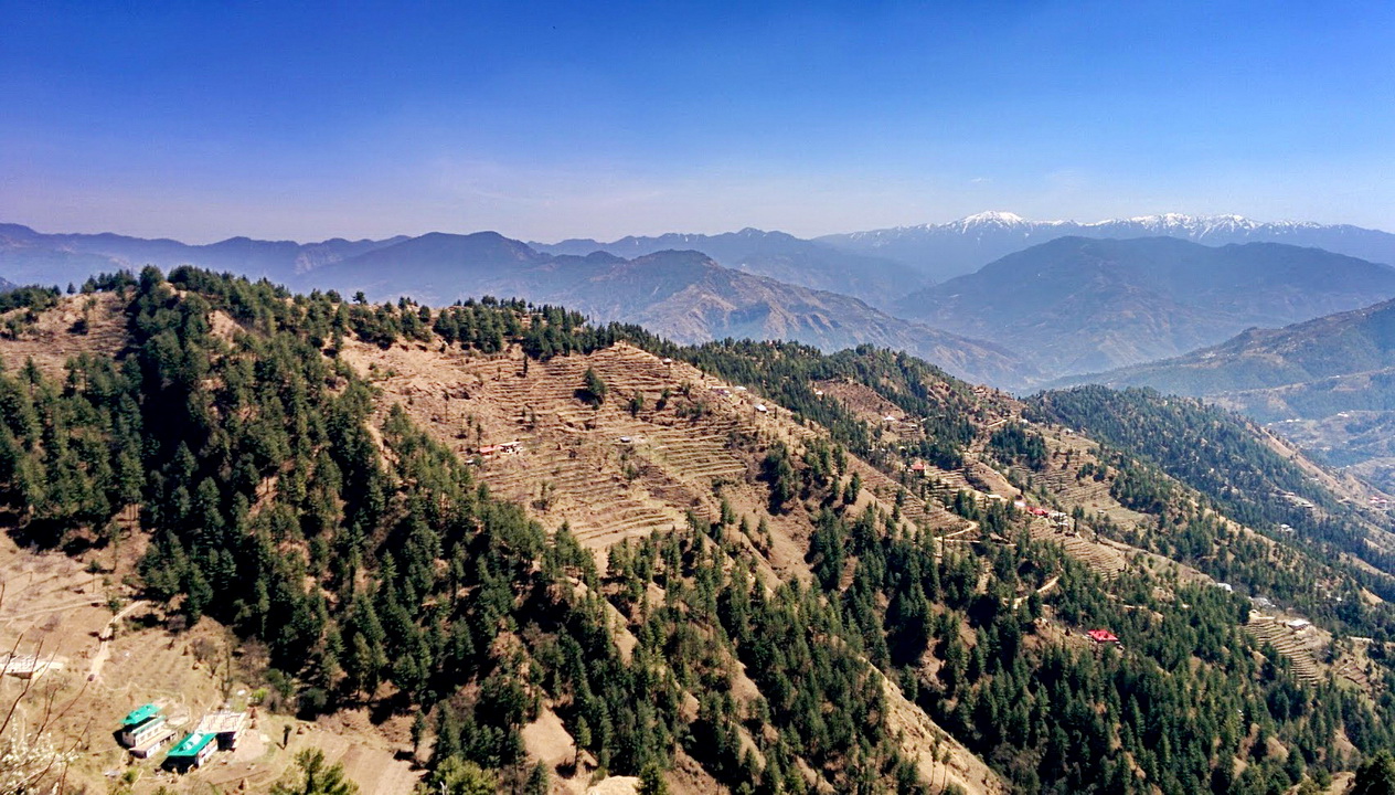VIEW OF CHURDHAR FROM NANGAL DEVI, THEOG