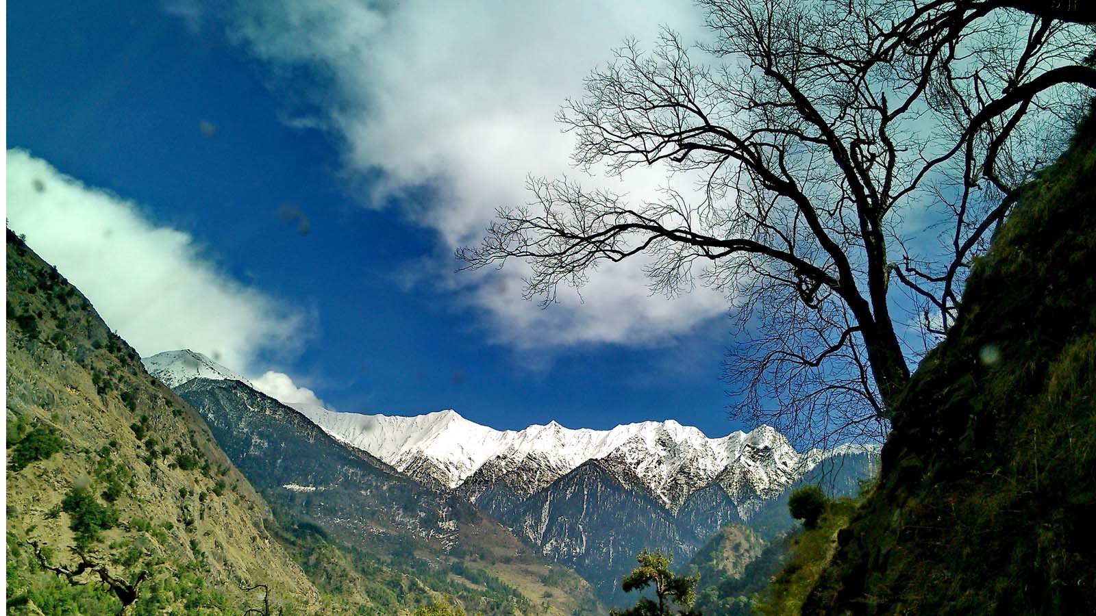 SNOW COVERED RUHIL DHAR, JUBBAL, SHIMLA