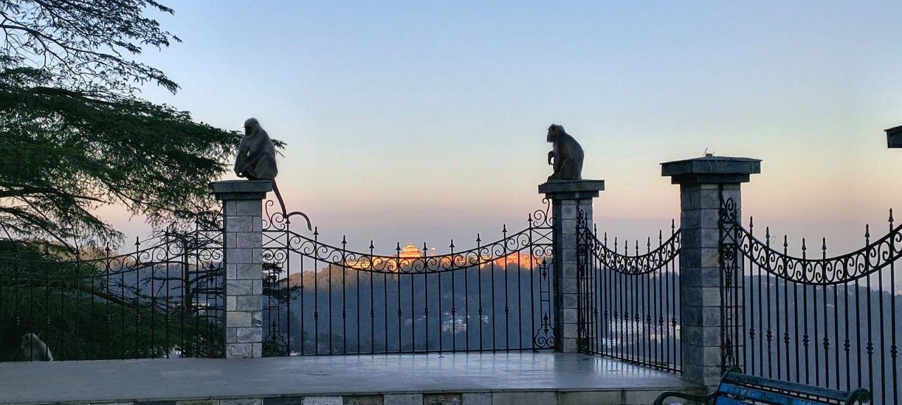 An Evening Paradise-Shimla