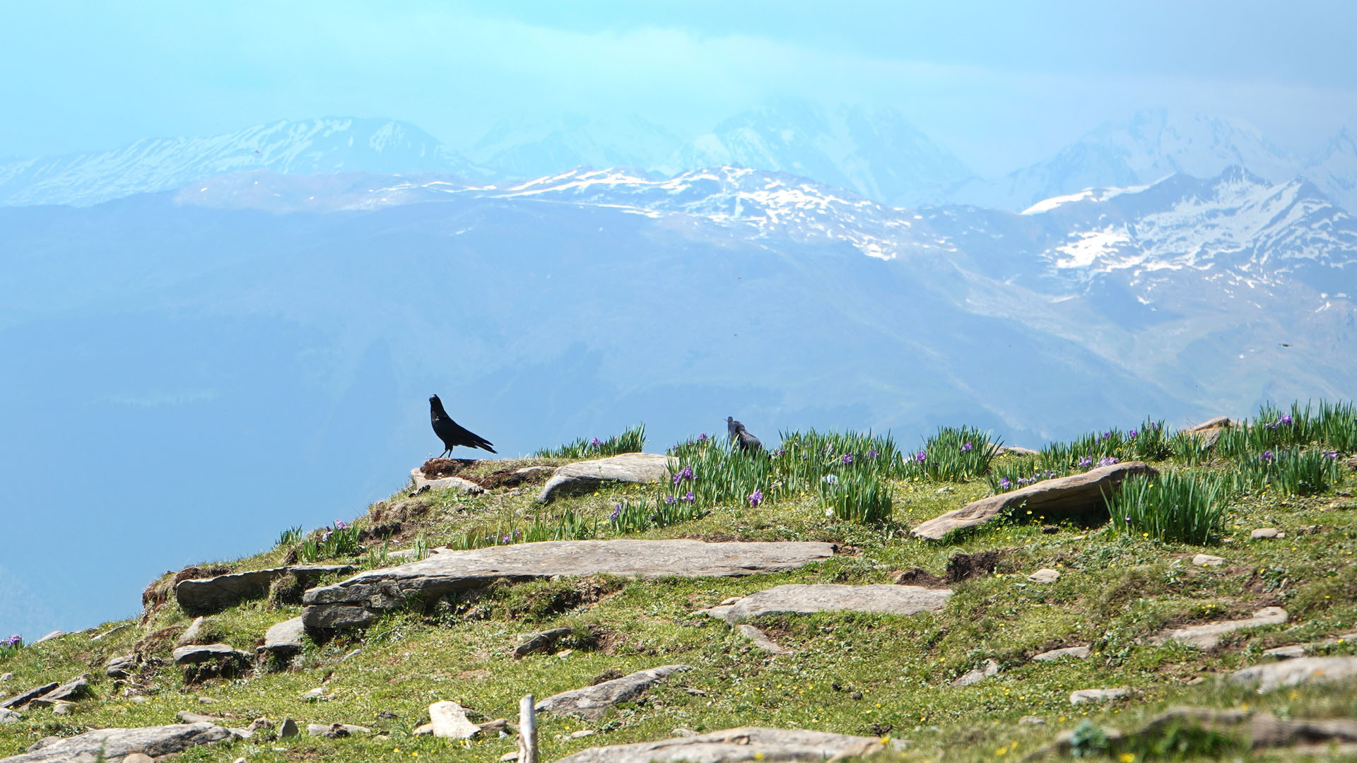 VIEW FROM CHANSHAL PEAK