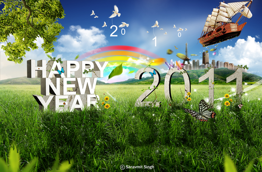 HAPPY NEW YEAR 2011